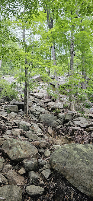 Bear Mountain, NY - 07/06