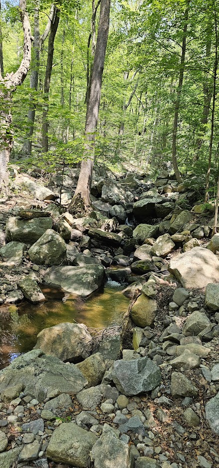 Bull Mountain, NY - 07/27