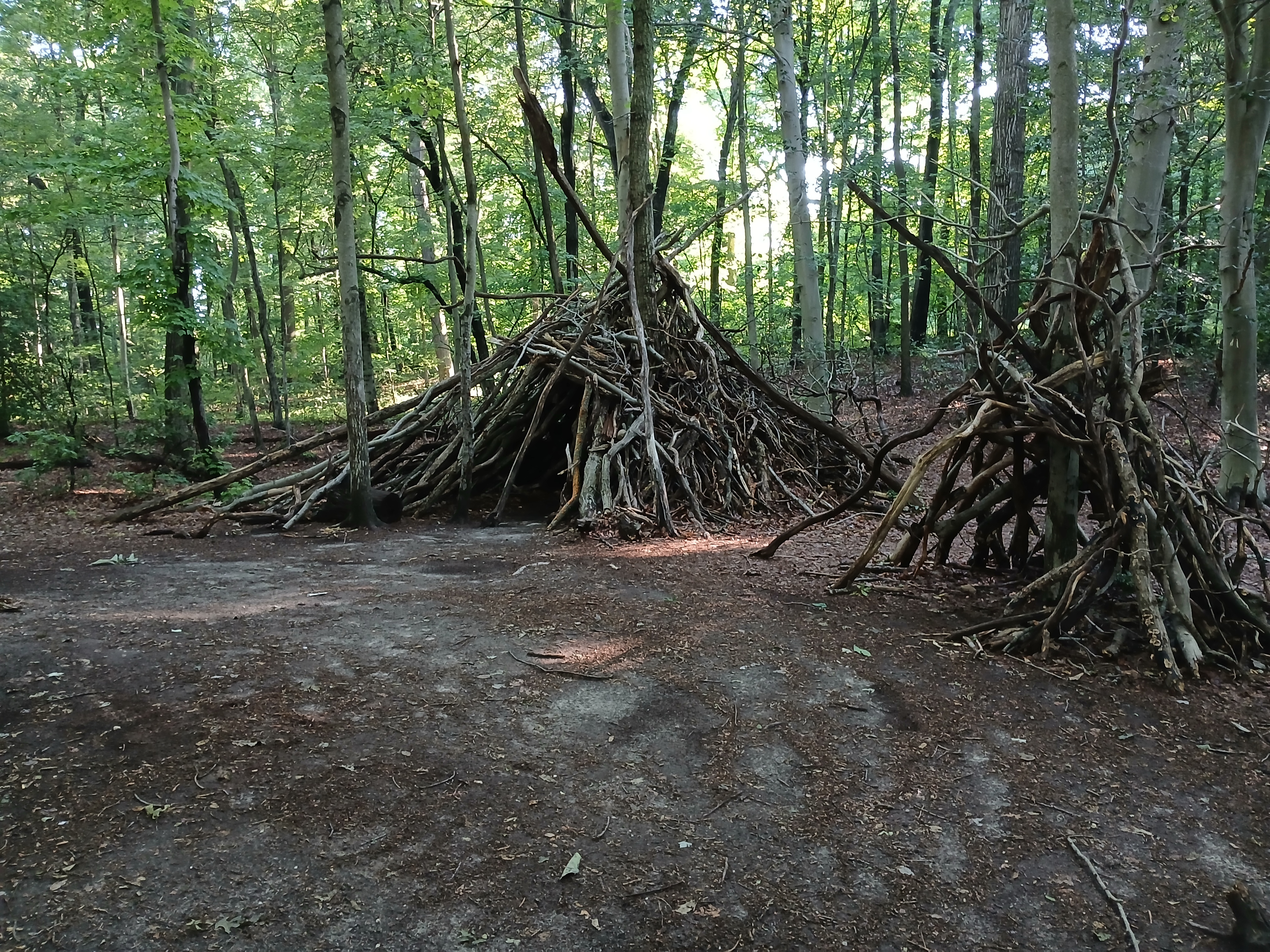 Cold Spring Harbor, NY - 06/15