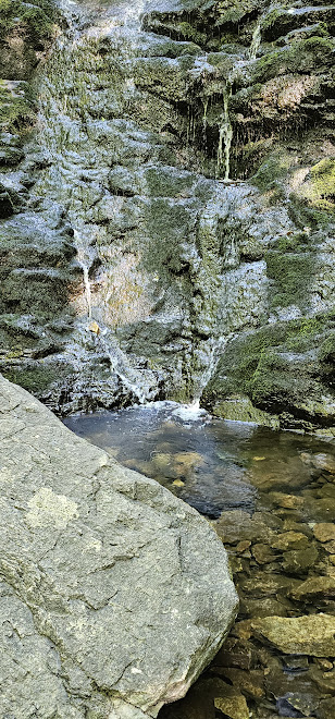 Ramapo Valley, NJ - 06/28