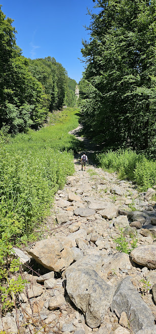 Ramapo Valley, NJ - 06/28