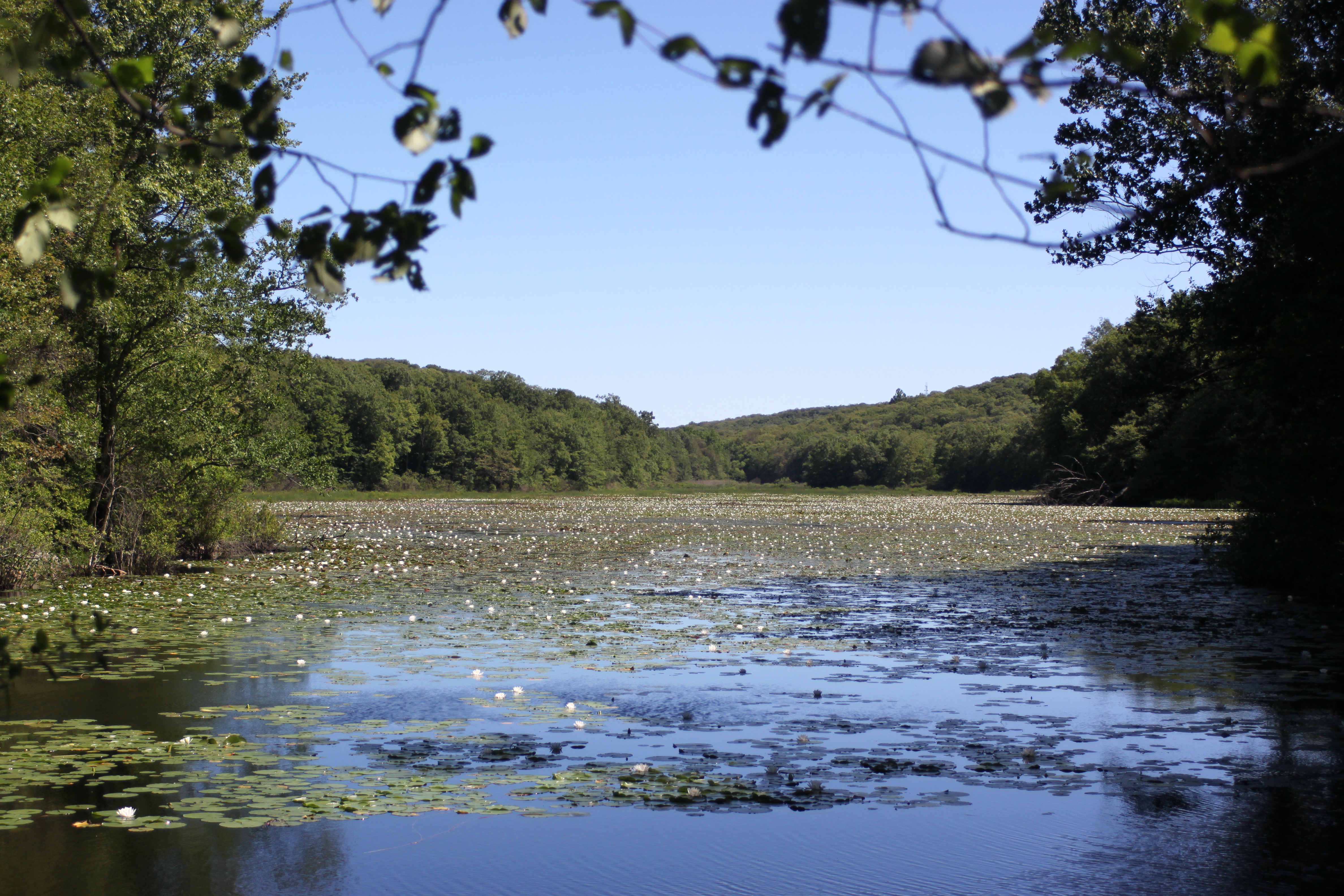 Ramapo Valley, NJ - 06/28